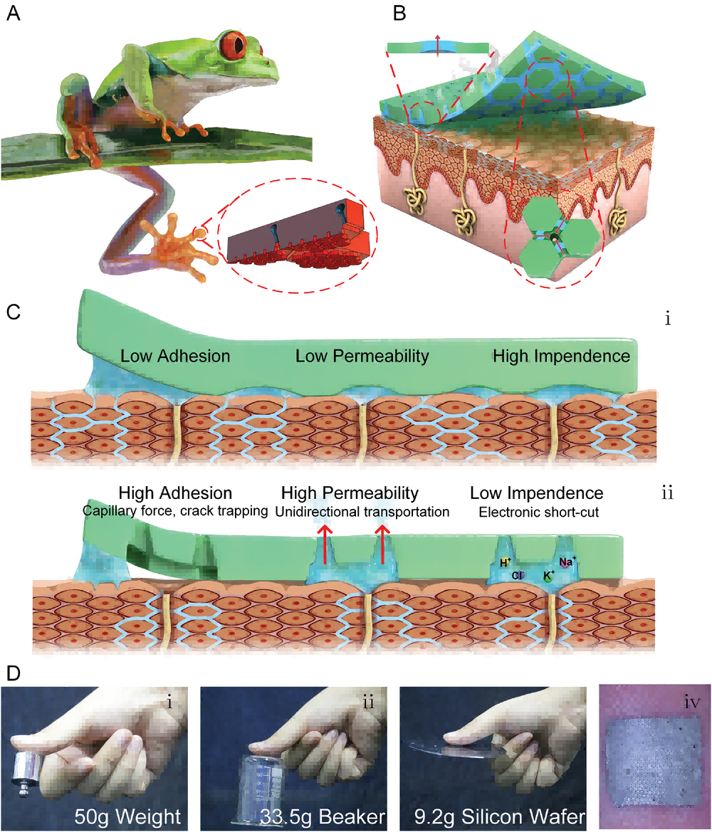 1758099157150807.png 2.png