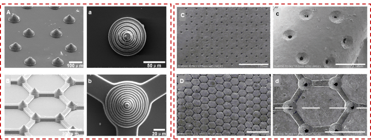 1758099177901134.png 3.png