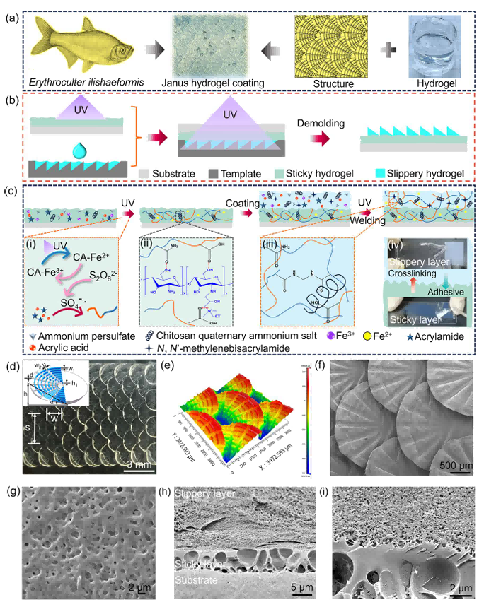 1758099191213628.png 4.png