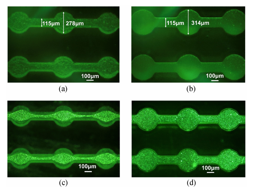 1758099415255374.png 5.png