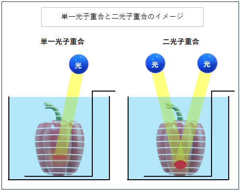 単一光子重合と二光子重合のイメージ