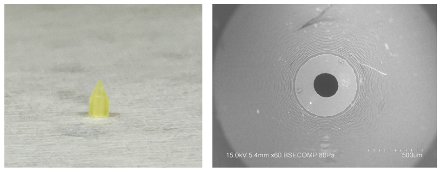 BMFの3Dプリンターで作製した眼球注射用マイクロニードル BMFの3Dプリンターで作製した眼球注射用マイクロニードル