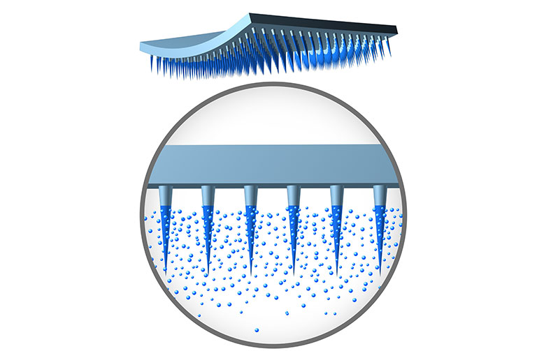 1762431613414033.jpg bmfnew05-1.jpg