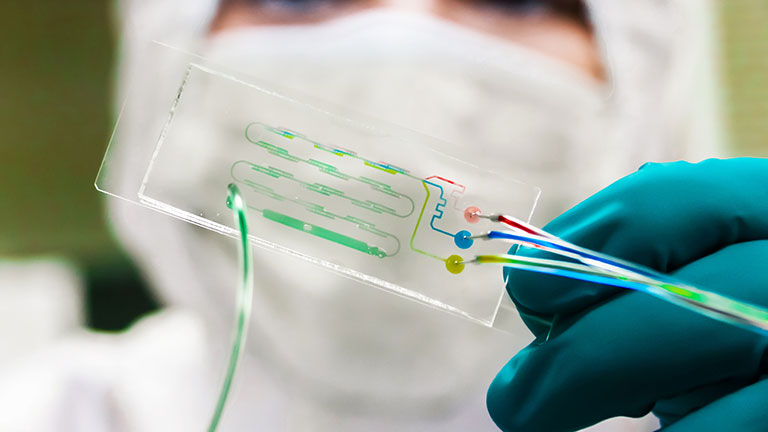 1762431979154683.jpg bmfnew06-1.jpg