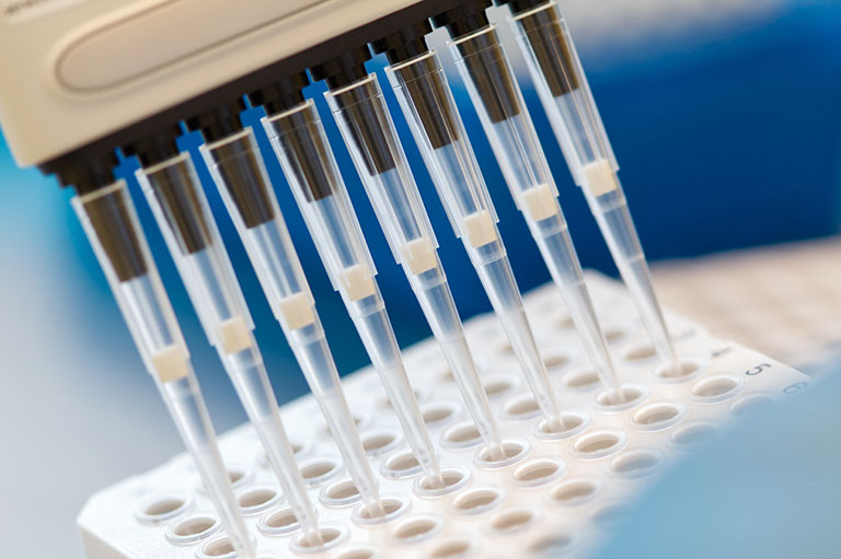 1762432011495202.jpg bmfnew06-3.jpg