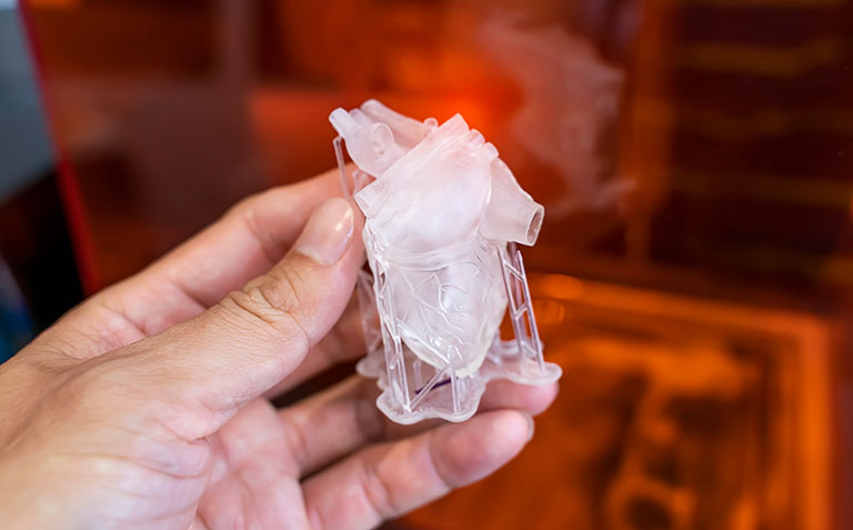 1762433053810509.jpg bmfnew11-2.jpg