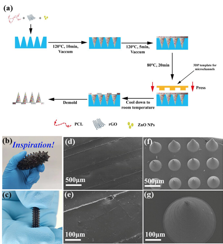 1762502045319949.png 図3 MNGCsの製造プロセス及び光学画像.png