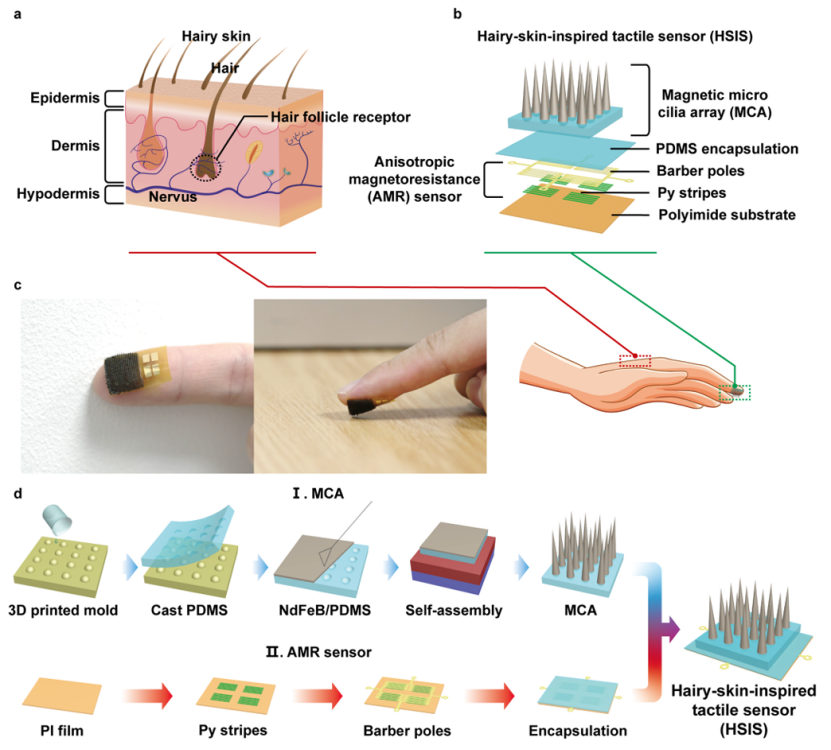 図2　毛髪皮膚模倣型触覚センサー（HSIS）の設計概念図
