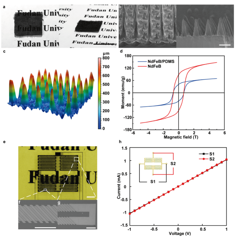 図3　磁性マイクロ繊毛アレイ（MCA）およびAMRセンサーの構造・特性評価