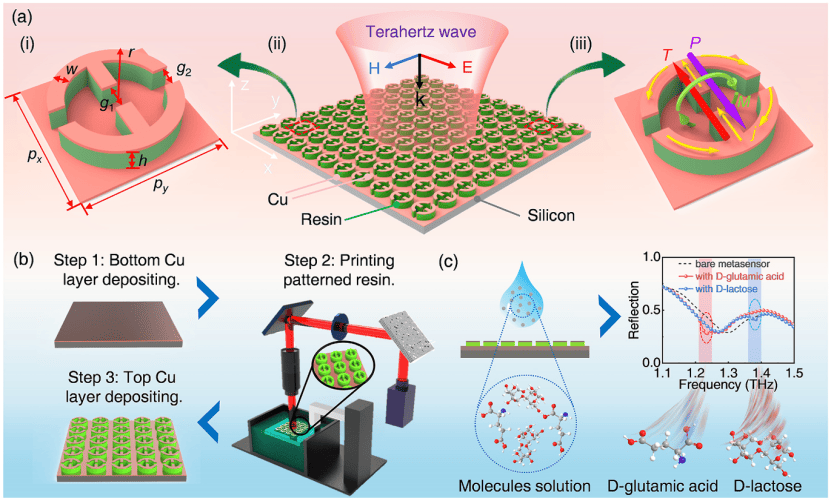 図5　テラヘルツAnapoleメタ表面バイオセンサーの設計・製造・応用