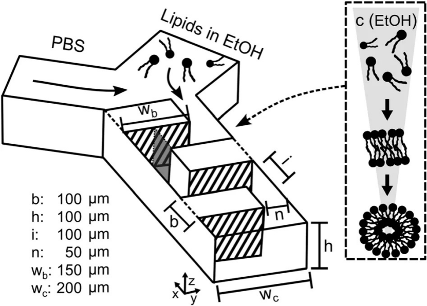 高精度3Dプリントで作製したマイクロ流体デバイス構造