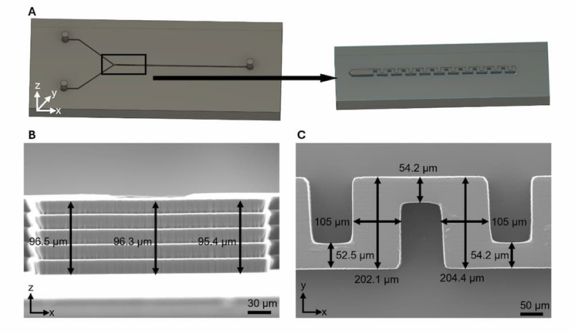SEMによる3Dプリント構造の造形精度評価