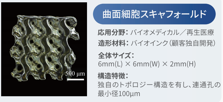 曲面細胞スキャフォールド 曲面細胞スキャフォールド