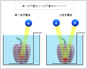 微細加工 試作 3(3)