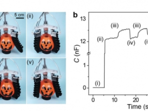 Fig. 3 イオントロニック圧力センによる物体重量の測定